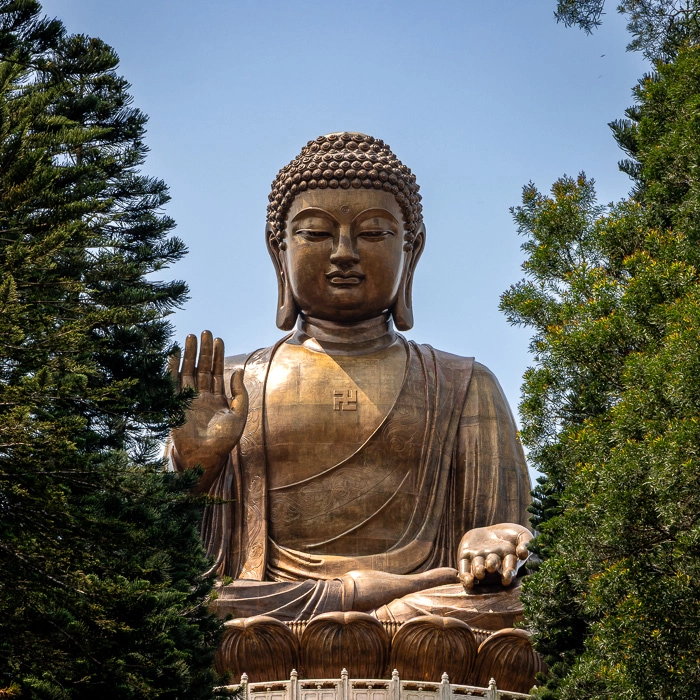 BigBuddah-1_thumb.webp