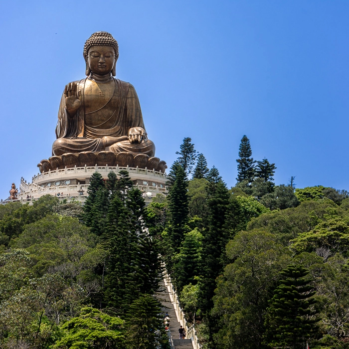 BigBuddah-3_thumb.webp