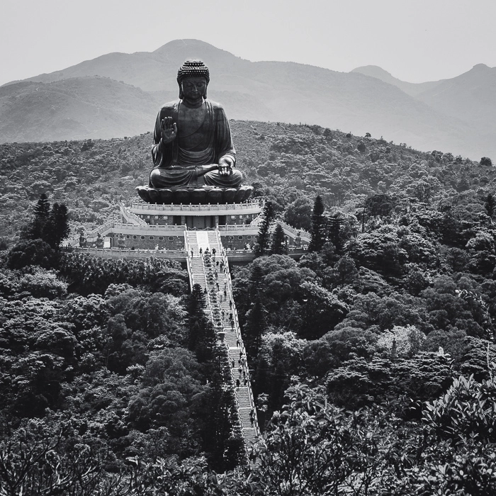 BigBuddah-8_thumb.webp