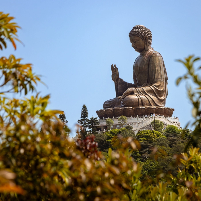 BigBuddah-9_thumb.webp